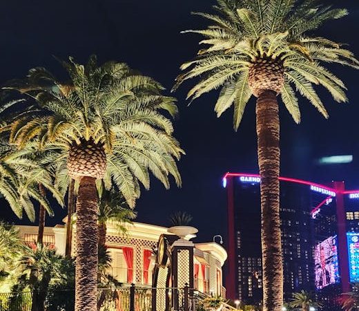 Staying Updated on PVL Results Today for a Better Betting Experience