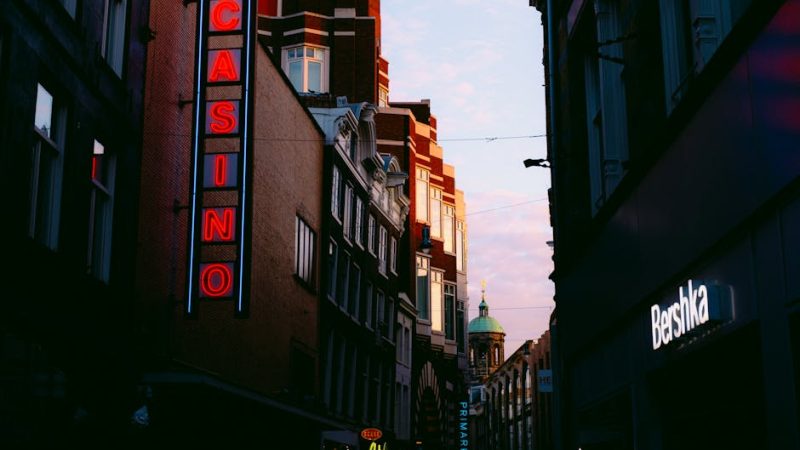 Bingo Plus Rebate: Winning Tips for Filipinos